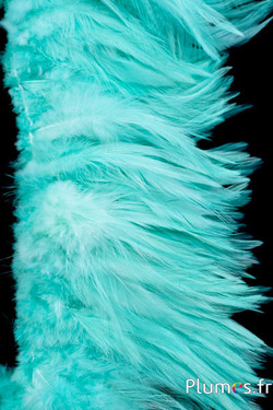 Frange coq - long. plumes 10-15 cm - vert d´eau
